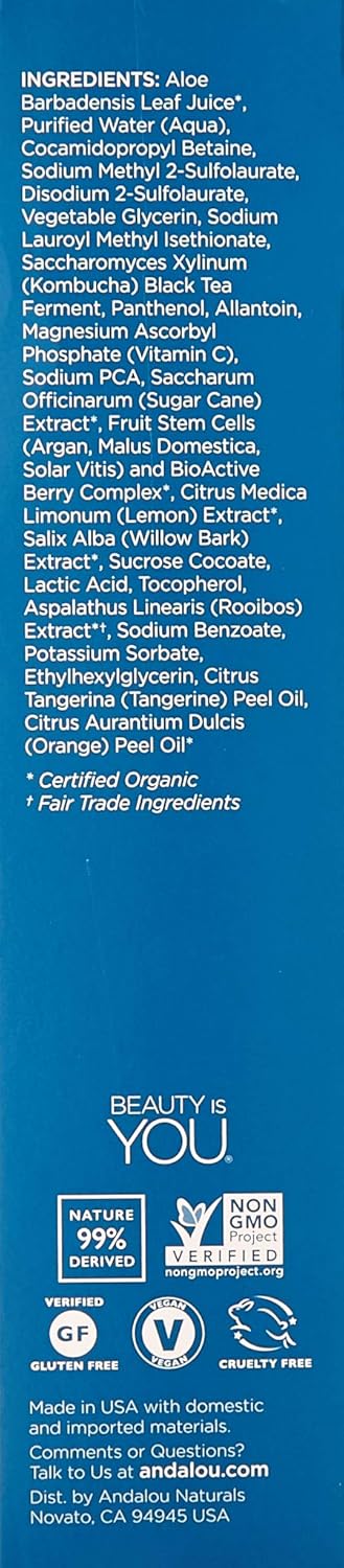 Andalou Naturals Cleansing Gel Citrus Kombucha, 6 OZ.