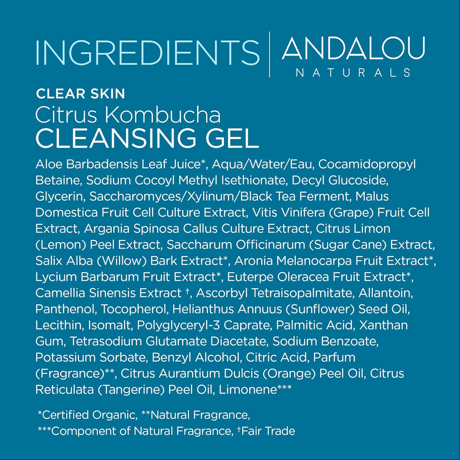Andalou Naturals Cleansing Gel Citrus Kombucha, 6 OZ.