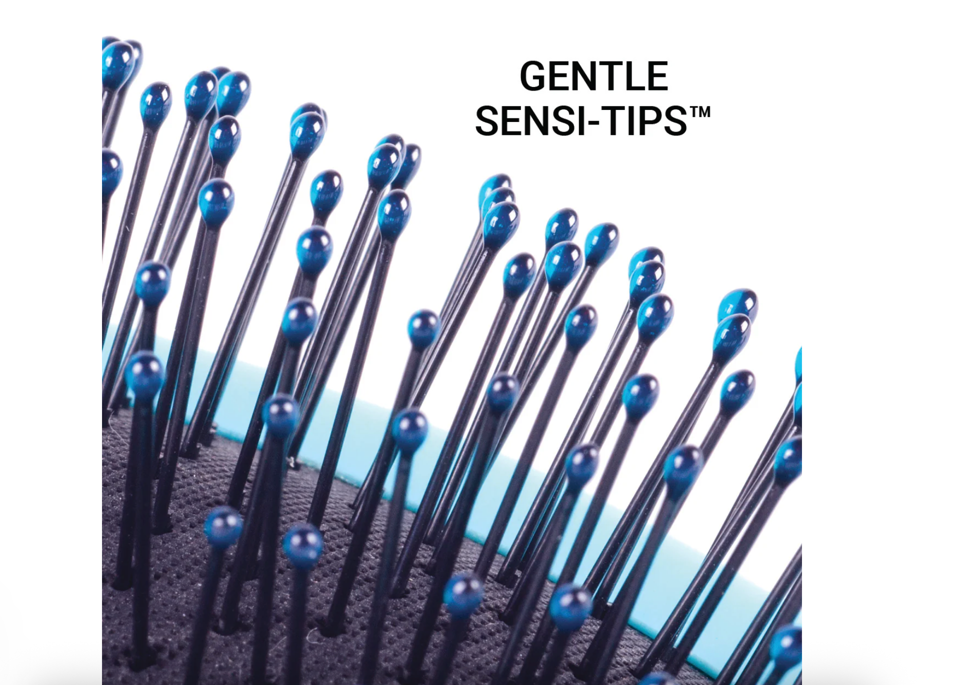 Cricket Splash Blackout Brush