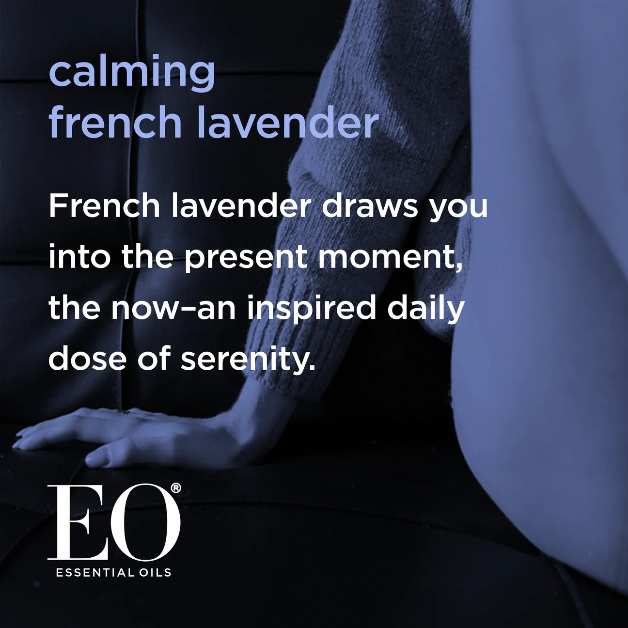 EO Body Oil French Lavender, 8 oz.